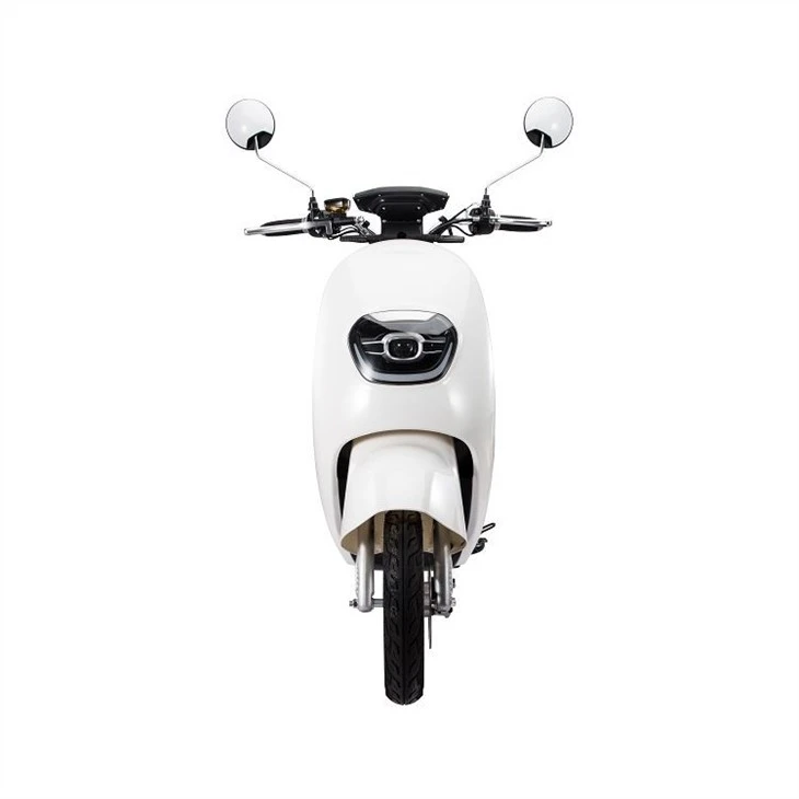 2 wheel 1000W  electric scooter(001)